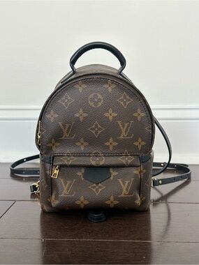 Louis Vuitton Palm Springs Mini Backpack